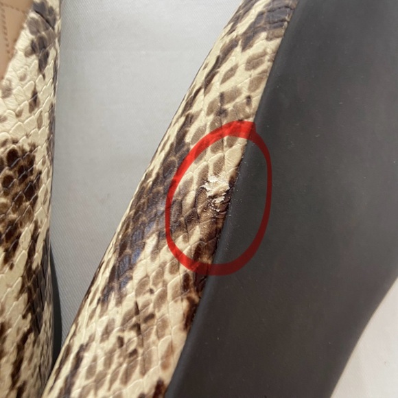 Coach Annabel Snakeskin Pointed Toe Ballet Flats - Picture 16 of 16